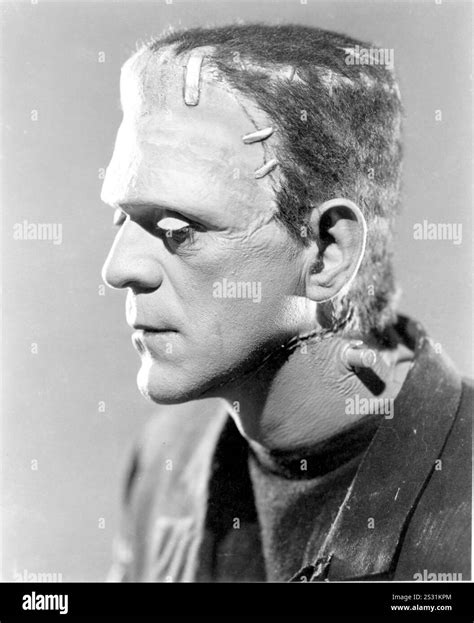 BRIDE OF FRANKENSTEIN BORIS KARLOFF Date: 1935 Stock Photo - Alamy