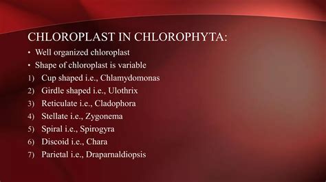 Chlorophyta: (Green Algae) The Phylum of Kingdom Protista. | PPT
