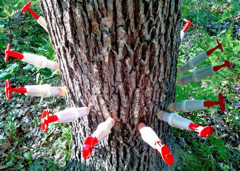 Tree Root Poison 的图像结果