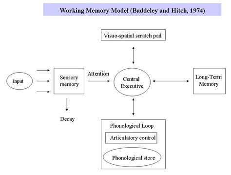 Image result for Inside Out and Working Memory Model
