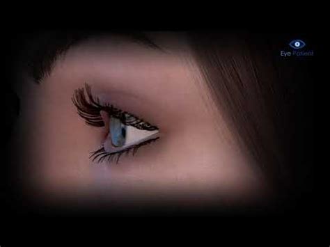 Image result for Normal Human Eye