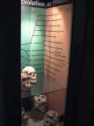 ZooLex Exhibit - ORANG.erie