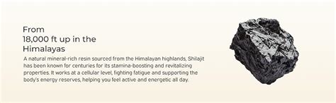 Nutriburst Shilajit Resin Gummies, Ayurvedic Herbal Blend with Swarna ...