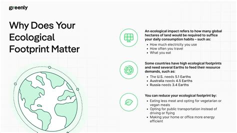 Your Ecological Footprint: How to Calculate It & Why It Matters