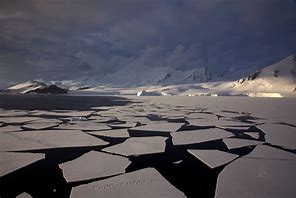 Antarctic 的图像结果