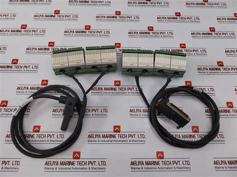 Foxboro Ad916Pw Cable Plus 1.5 Meter W/ Umk-se 11,25-2 Dual Terminal B ...