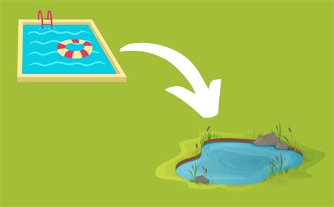 Using a Pool as a Pond 的图像结果