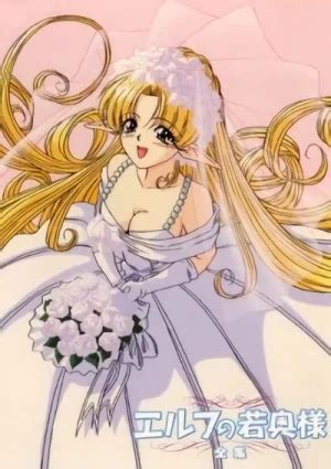 Image result for The Elven Bride Review