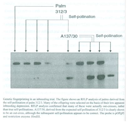 TNAU Agritech Portal :: Bio Technology