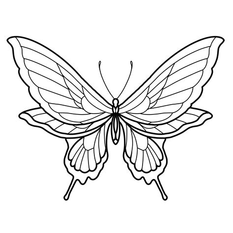 Butterfly Drawing Outline Printable - Printable Free Templates