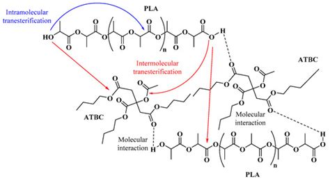 Effect of Extrusion Screw Speed and Plasticizer Proportions on the ...