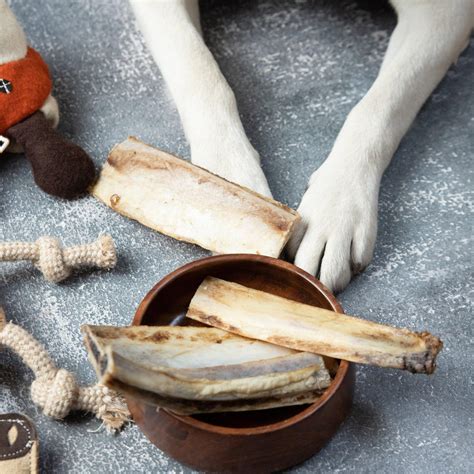 Bonanza Bone Bites | Buy This with Online at Best Price – Dutch Hollandia