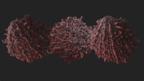 Image result for UnityPoint Cloud Animation