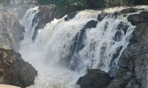 Sudden rise in Cauvery water flow at Hogenakkal due to heavy rains