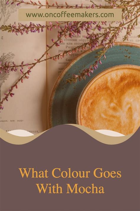 Image result for Mocha CS6 Tutorial