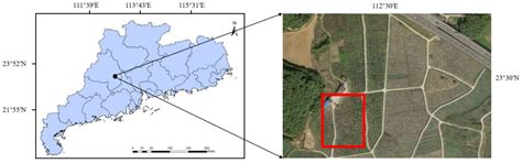 Extraction of Citrus Trees from UAV Remote Sensing Imagery Using ...