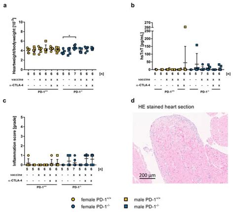 Effect of SARS-CoV-2 mRNA-Vaccine on the Induction of Myocarditis in ...