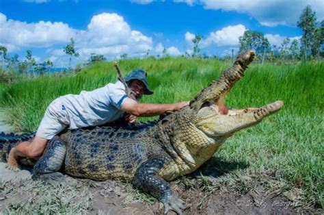 Crocodile Attacks Humans 的图像结果