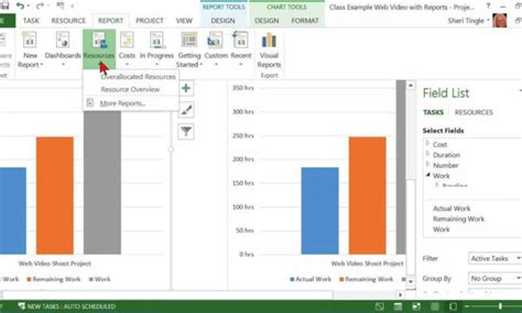 Image result for MS Project Layout Report Tab