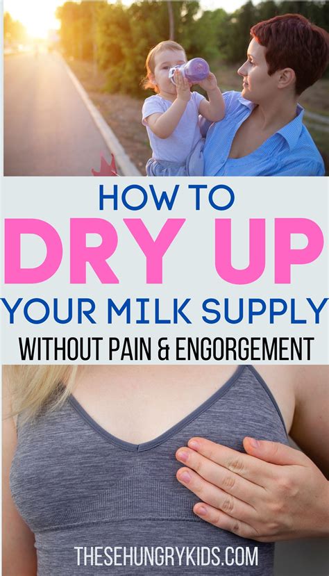 Best Way To Dry Up Breast Milk Supply at Andrea Delreal blog
