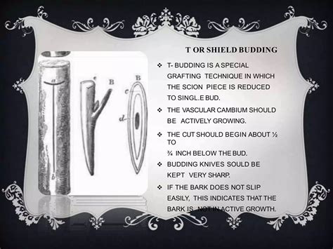 Image result for Methods of Budding