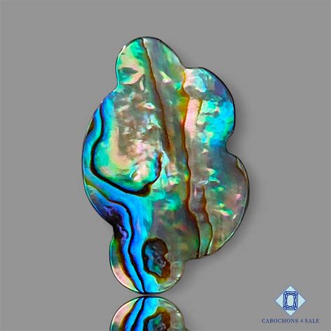 Abalone Shell Healing Crystals | Semi Precious Cabochons for Chakra and ...