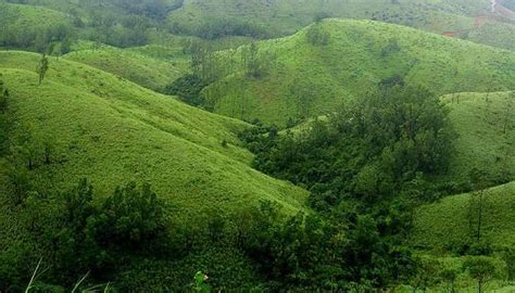 Hill Stations Near Kochi: Discover Mountains & Nearby Hill Getaways