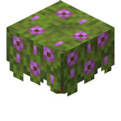 Image result for Minecraft Full Automatic Azalea Tree Farm Tutorial