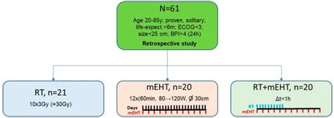 Treatment of Pelvic and Spinal Bone Metastases: Radiotherapy and ...