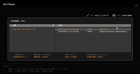 BIOS Firmware 的图像结果