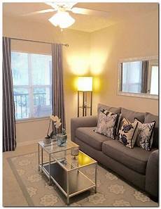 Living Room Apartment Decor by How To Decorating Small Apartment Ideas On Budget Small Living Room Apartment Decor