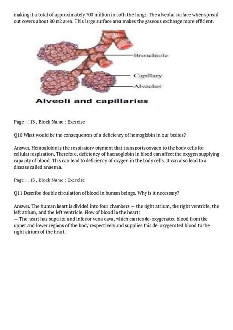 Image result for Class 10 Science Chapter Fifth