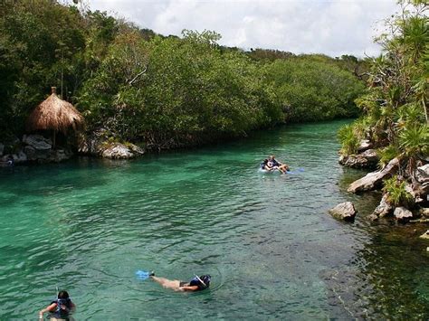 ECOTURISMO CANCUN (2026) All You Need to Know BEFORE You Go (w/ Reviews ...
