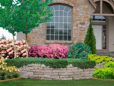 free photography courses hamilton nz