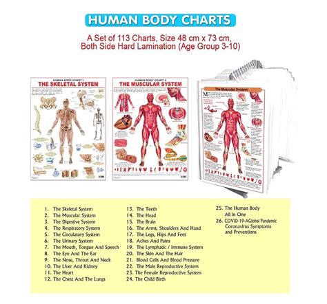 Dreamland the Head Chart for kids 12Y+, Multicolour