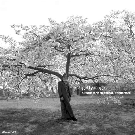 Image result for Angus McBride Entmoot Treebeard