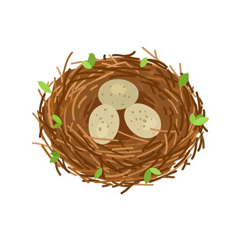 Bird In Nest Clip Art