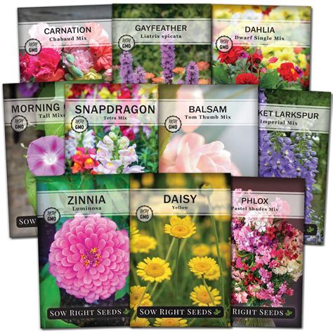 Flower Seed Packets Walmart