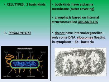 Image result for Cell Introduction