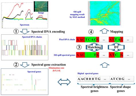 Monitoring Marine Oil Spills in Hyperspectral and Multispectral Remote ...