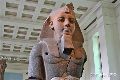 古埃及未解之谜：古埃及人为何将狒狒当作神兽_网易视频