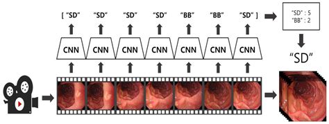 Deep Learning Models for Anatomical Location Classification in ...