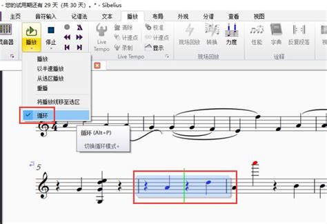 西贝柳斯五线谱怎么换行 西贝柳斯打谱软件如何转调-Sibelius中文网站