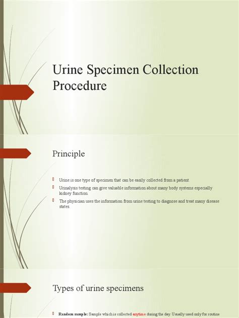 Image result for Urine Collection Method