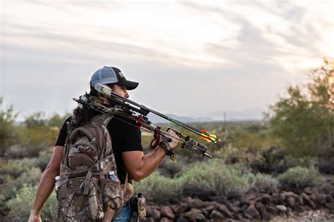 Competitive Hunter Model 的图像结果