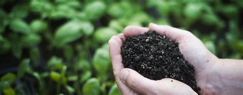 Todo sobre nosotros | Gestcompost