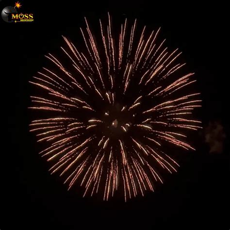 Image result for Display Shell Fireworks
