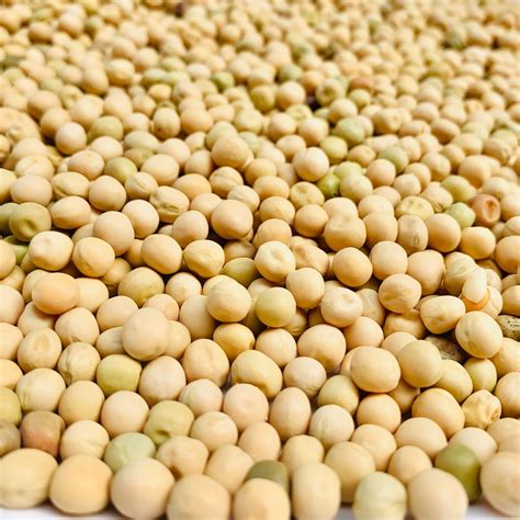 Raw White Peas-Batani-Safed Matar – Vintage Farmers