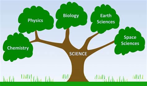 Branches of Science 的图像结果