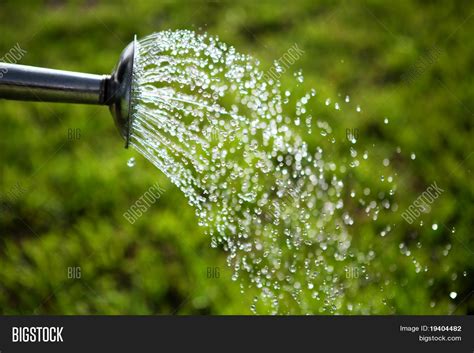 Imagen y foto Regadera Metal (prueba gratis) | Bigstock